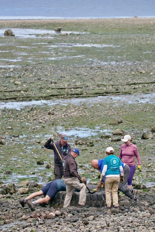 WEST SEATTLE SCENE: Low-low tide time