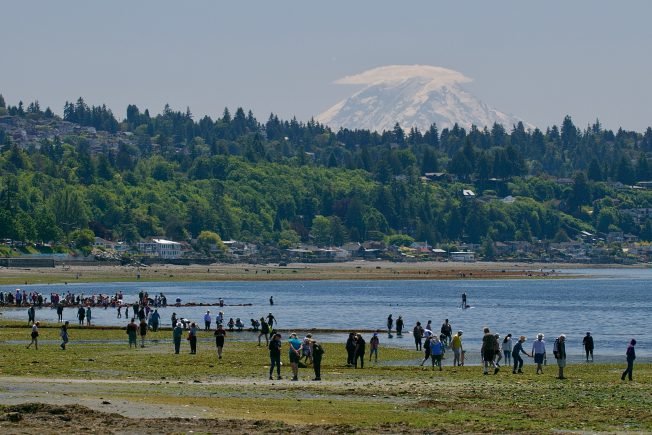 WEST SEATTLE SCENE: Lowest low-low tide of the year