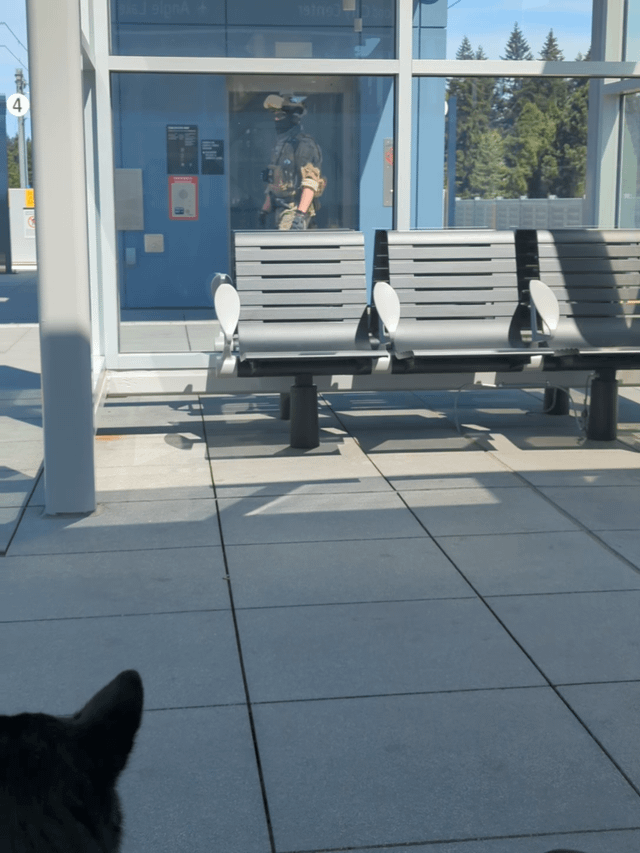 What the hell is going on at Shoreline South station?