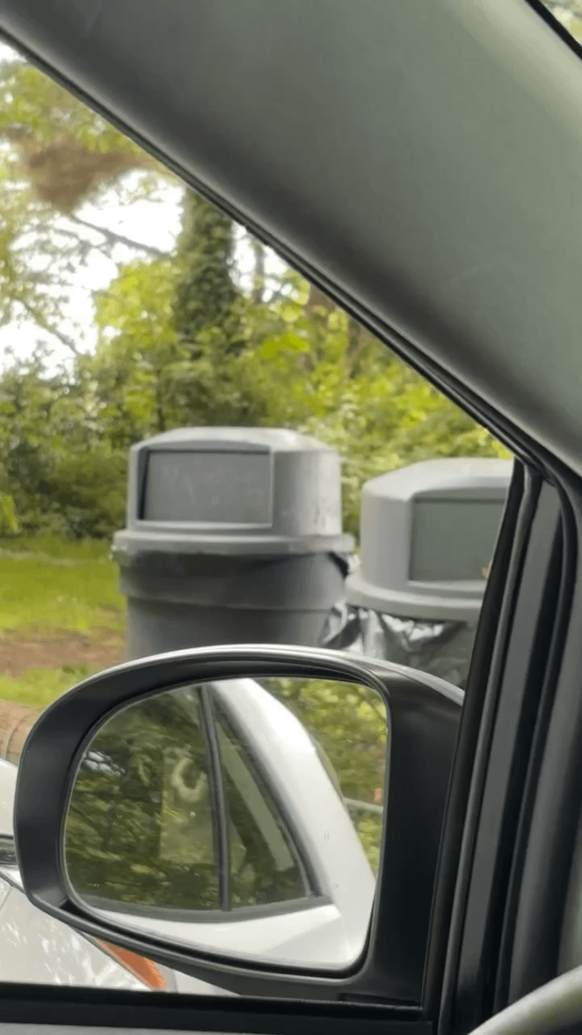 Feeding teenager ducks at Golden Gardens. Had an absolute blast. Cameo by a squirrel who dug a whole chicken wing out of a trash can.