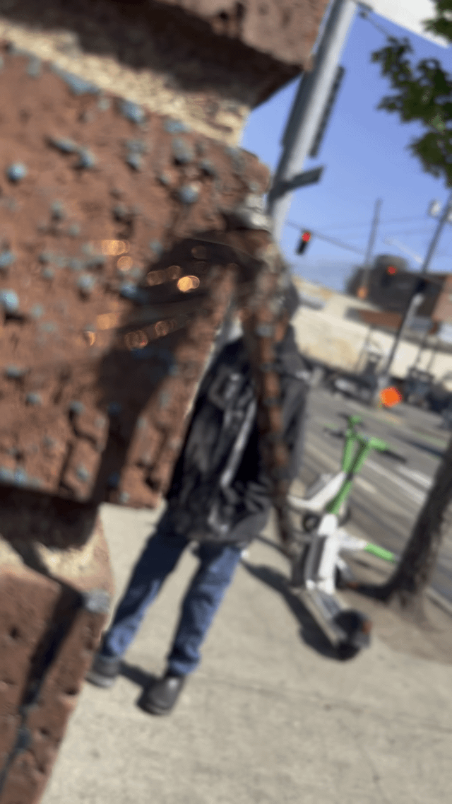 Capitol Hill Dragonfly