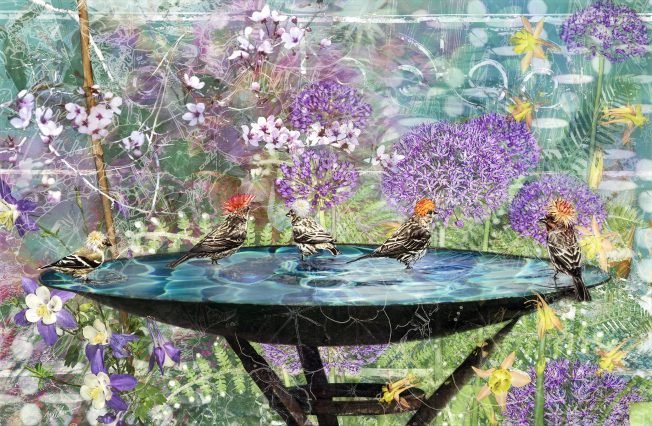 West Seattle Garden Tour gives away money – and has more to give. Plus, ticket time!