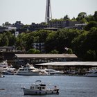 It’s a beautiful day today