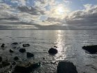 Carkeek this afternoon! I saw ducklings, bunnies, crabs, blue heron, and a beaver!! 🦆🐰🦀🦫