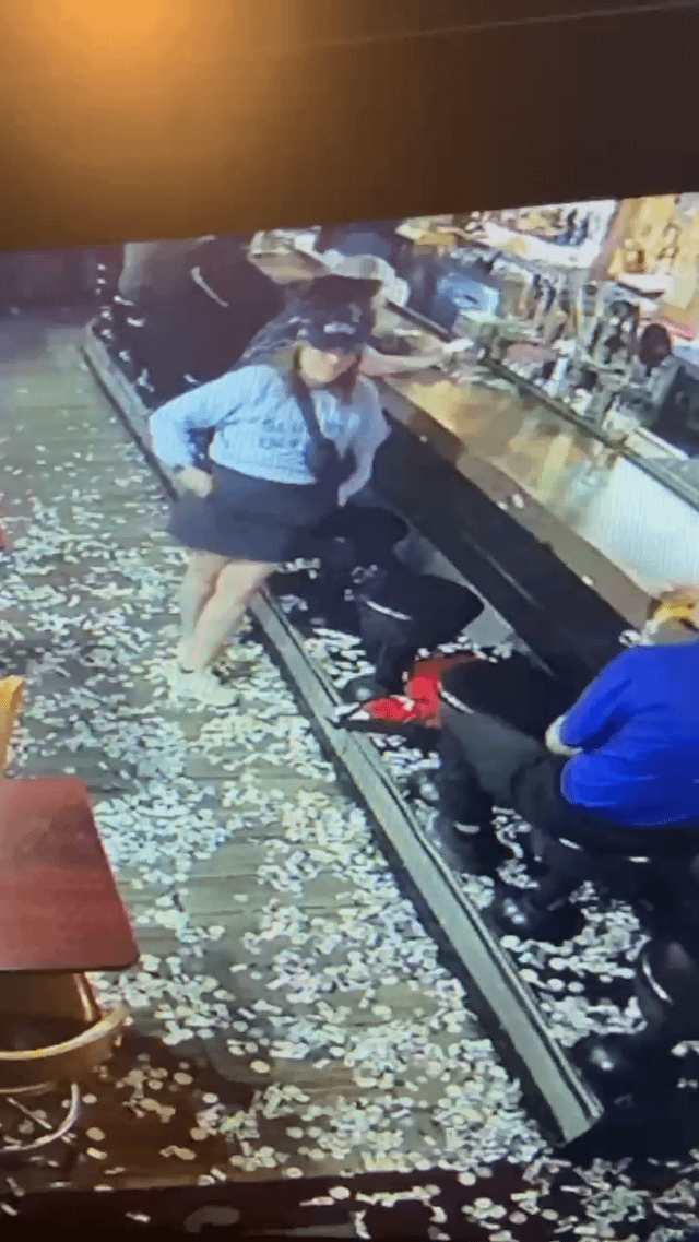 Help us find these thieves!