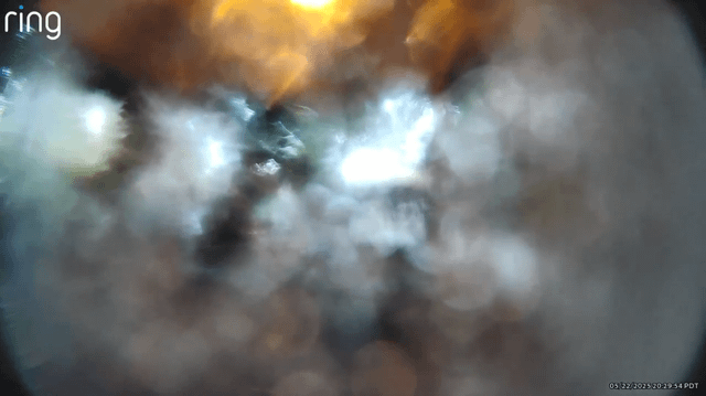 Some random punk burnt off my Ring Camera in the Capitol Hill area