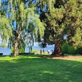 Seattle Police clear sunbathers at Denny Blaine Park — UPDATE