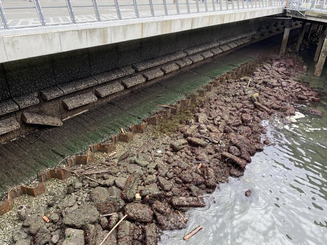 syzygy tide today – the sea wall is visible