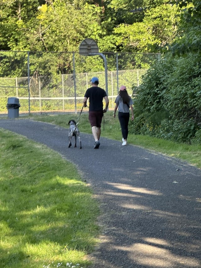 Just watched this piece of shit’s dog kill a crow in Skyway Park.