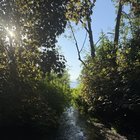 Seahurst Park (5/28/2025)