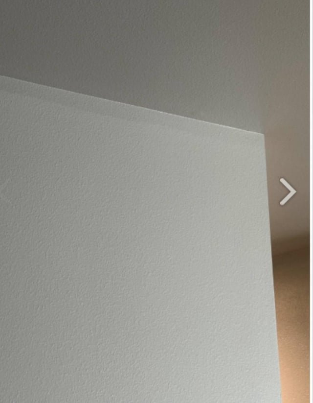 Weidner accused me of painting the wall— move out fees (apartment)
