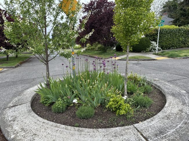 Delridge community-safety gathering, two dine-out fundraisers, softball playoffs, more for your West Seattle Tuesday