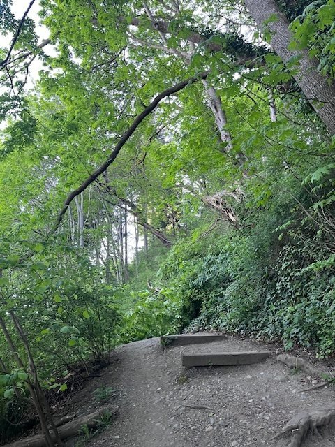 Three reader reports from Lincoln Park