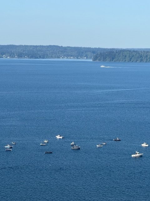 SEEN OFF WEST SEATTLE: About that cluster of fishing boats