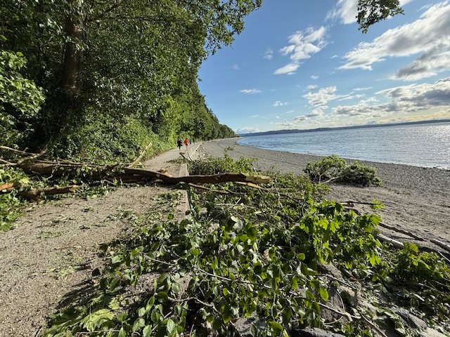PARK ALERT: Tree still down on Lincoln Park beach path