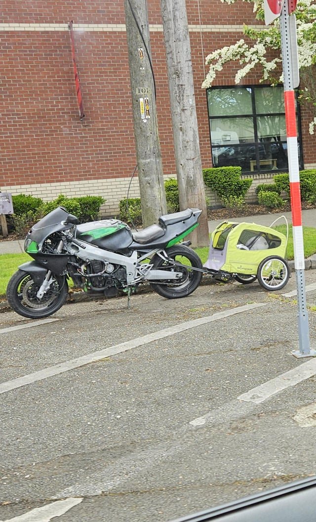 The kid riding that bike trailer must be having tons of fun
