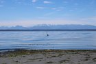 fav pics from carkeek park today ☀️