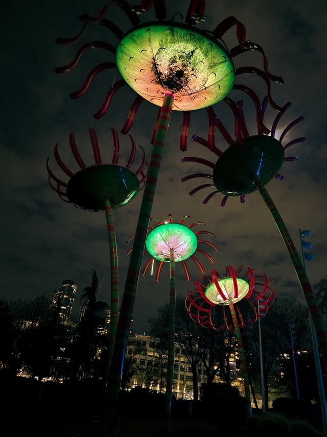 Shot during a power outage under the Seattle Space Needle S25 Ultra