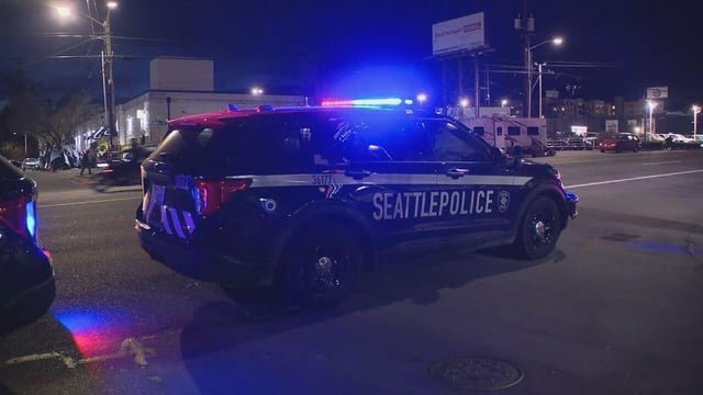 Stolen shotgun recovered after teens ram police car following condom caper