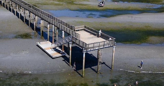 One of the lowest tides of 2025 will soon hit Puget Sound: When to look