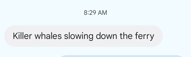 Tell me you live in Seattle without telling me you live in Seattle…