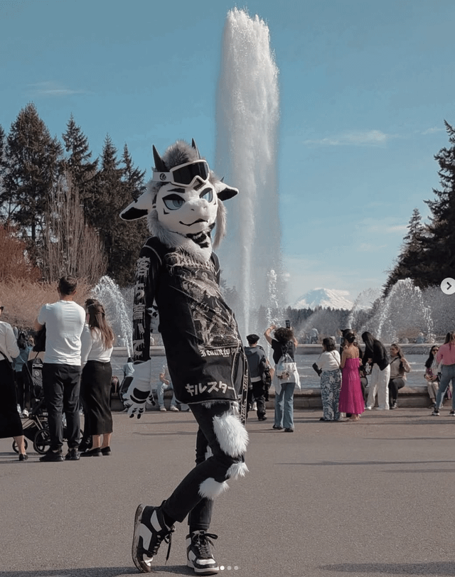 Lost Fursuit Left in Basket of Lime Bike