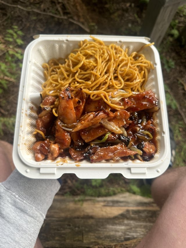 Sometimes you gotta sit on a log and eat some spicy garlic chicken terryaki after a hard day