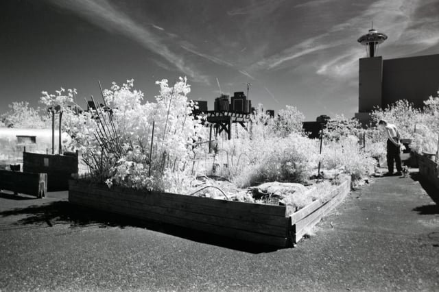 Seattle in Black and White Infrared