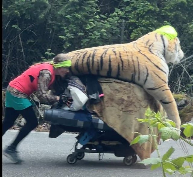 Tiger Lady