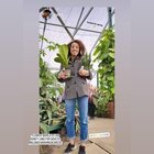 My Best Friend Is Missing(case number added)