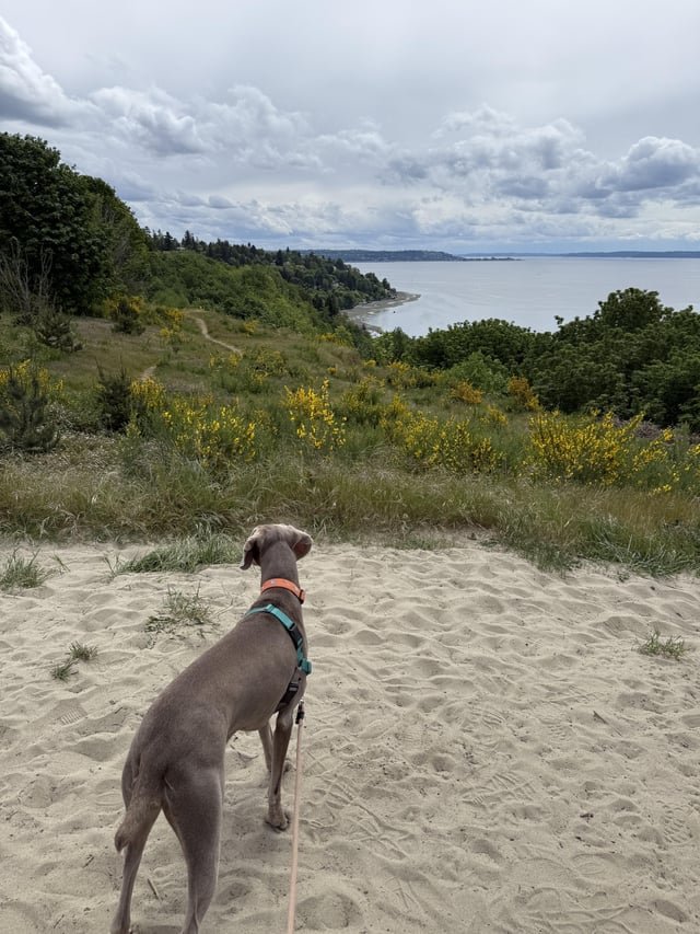 Encouraging you to touch grass on this lovely day