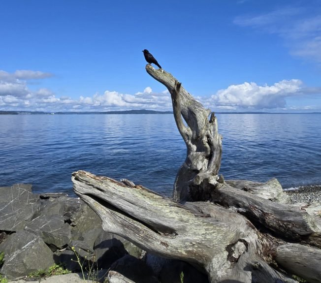 Here’s what’s happening on your West Seattle Monday!