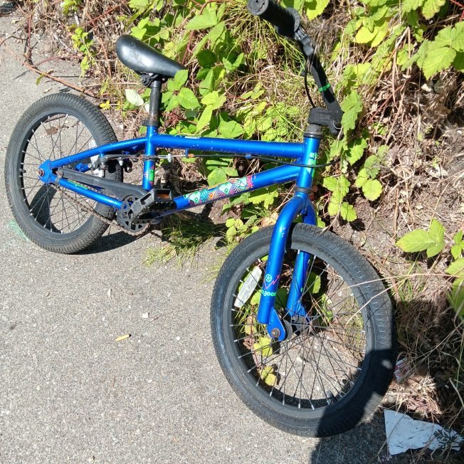 From the abandoned-possibly-stolen file: Bicycle found in Fauntleroy