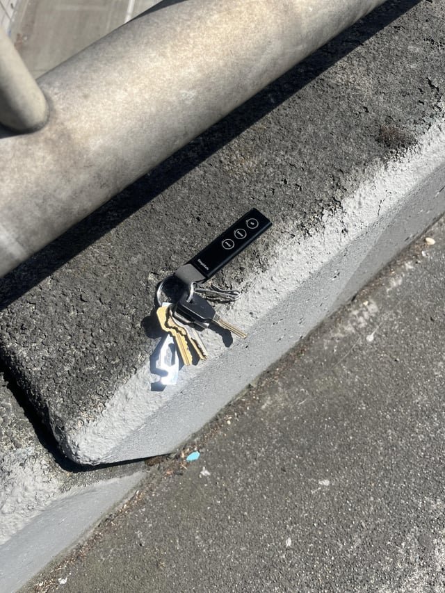 Found keys on Olive Way I5 overpass