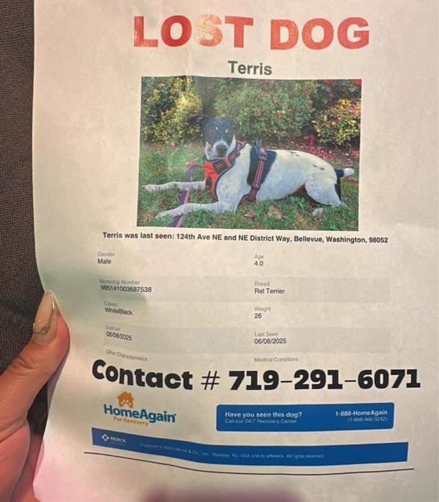 ****LOST DOG ALERT*****