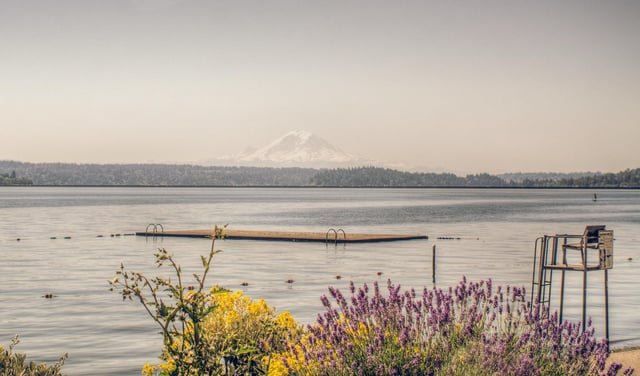 Good day, enjoy the sunny