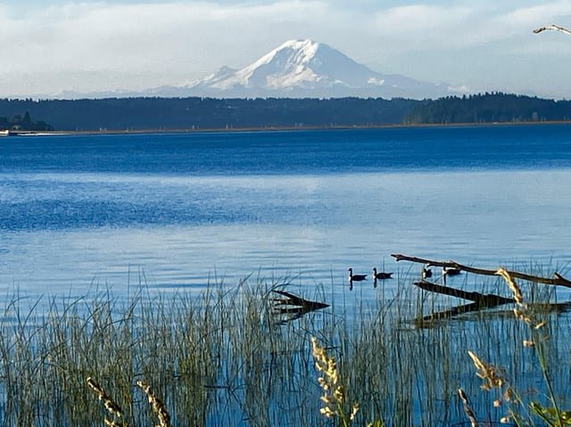 The mountain is indeed out.