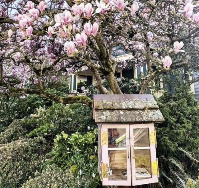 Seattle little free library