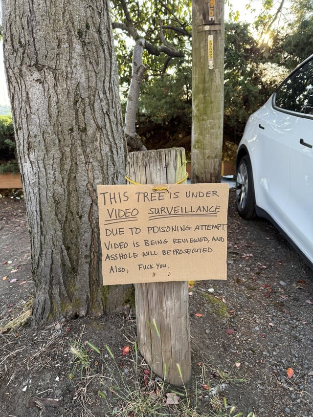 Don’t mess with the trees in Eastlake