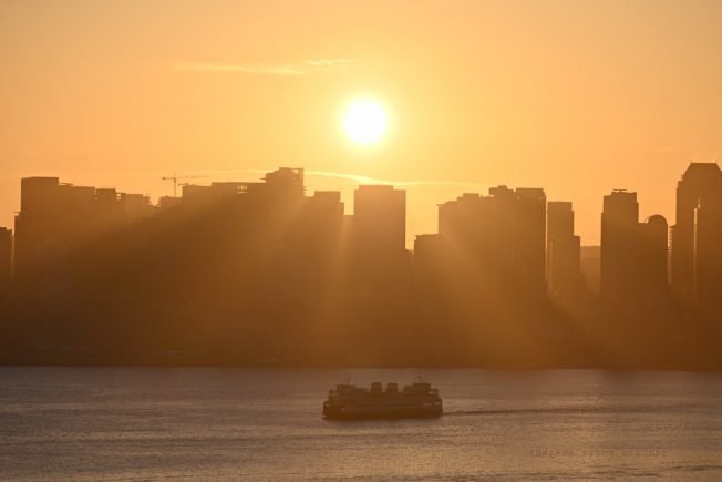 Fauntleroy culverts update, pre-Father’s Day ‘meat market,’ more for your West Seattle Tuesday!