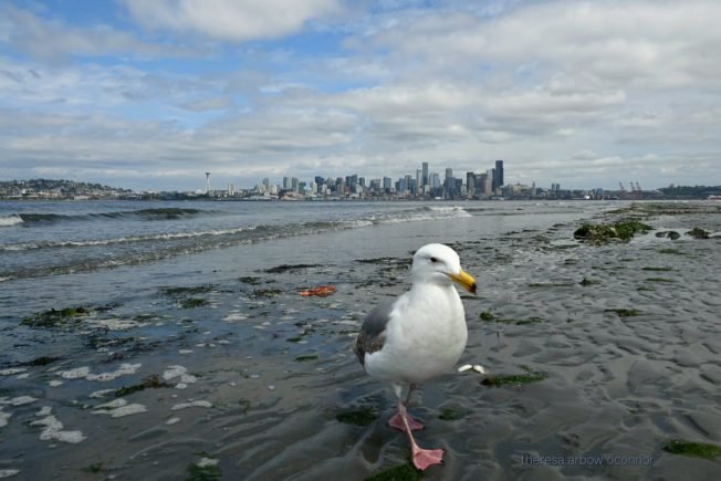 From graduation to light rail to bingo, here’s the list for your West Seattle Tuesday