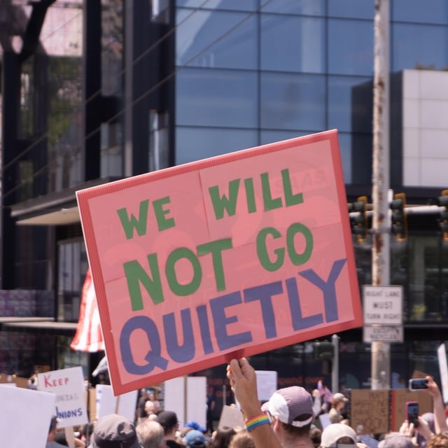 No Kings protest signs