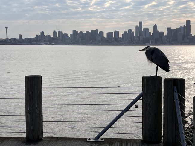 17 notes for your West Seattle Monday
