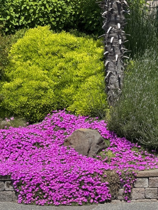 From poetry to paving to politics – the list for your West Seattle Wednesday!