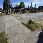 Spooner Berry Farms stand is open