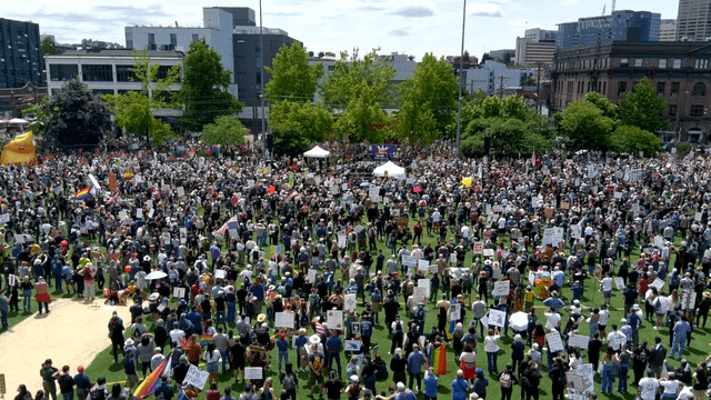 The only kings I follow are salmon 🎣