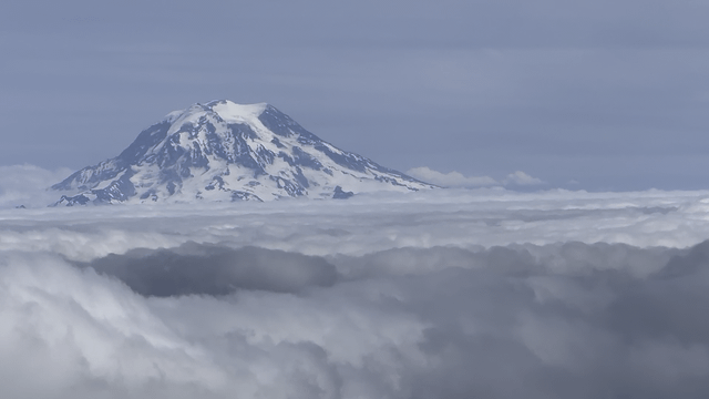 This shit never gets old