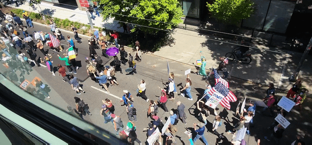 Video of the No Kings protest from the monorail