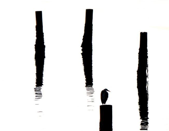 Games, music, swimming, workshops, more for your West Seattle Wednesday