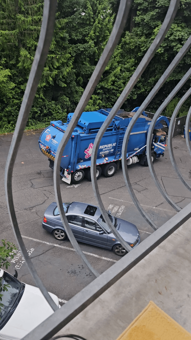 Whyyy do the 6am Bellevue (WA) garbage trucks sound like pterodactyls in heat when backing up?